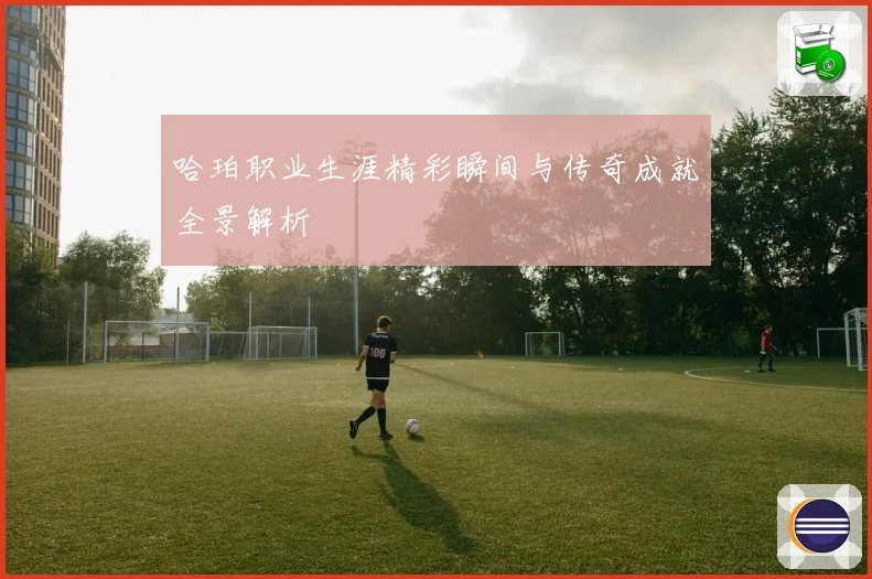 哈珀职业生涯精彩瞬间与传奇成就全景解析