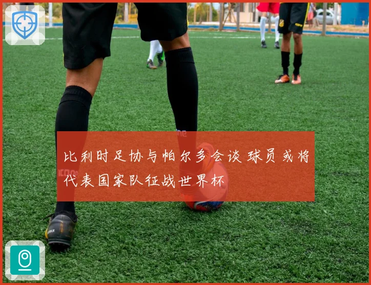 比利时足协与帕尔多会谈 球员或将代表国家队征战世界杯